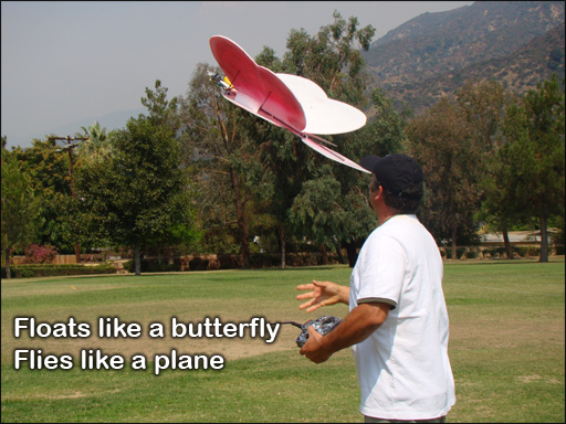 butterfly-rcplane